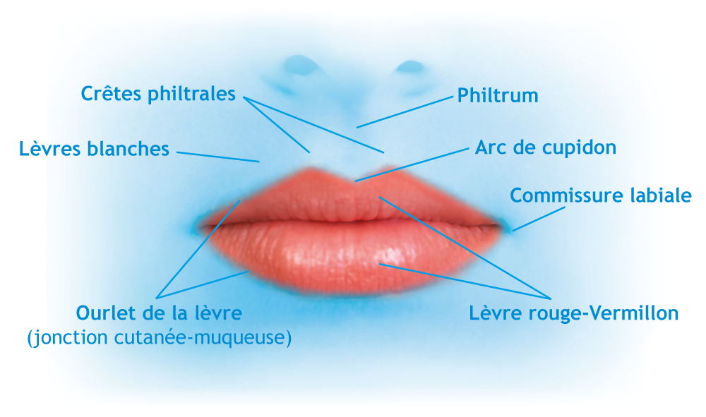 Chirurgie esthétique des lèvres par le Docteur Weiss du CCEPO